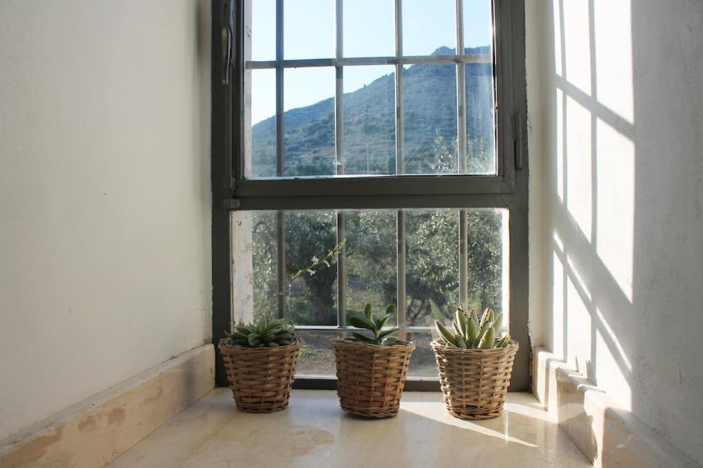 Casa Masseria Dell'800 Gargano. Le Mignole Monte SantʼAngelo Exterior foto